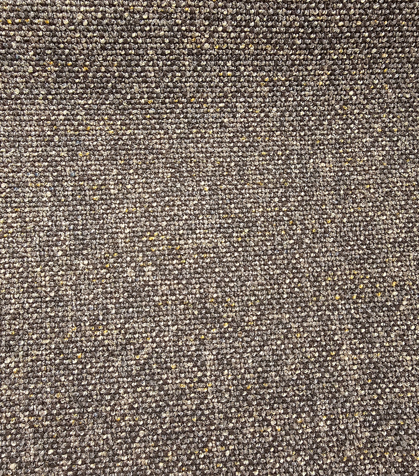 Tygprov - Hazy Ancestor