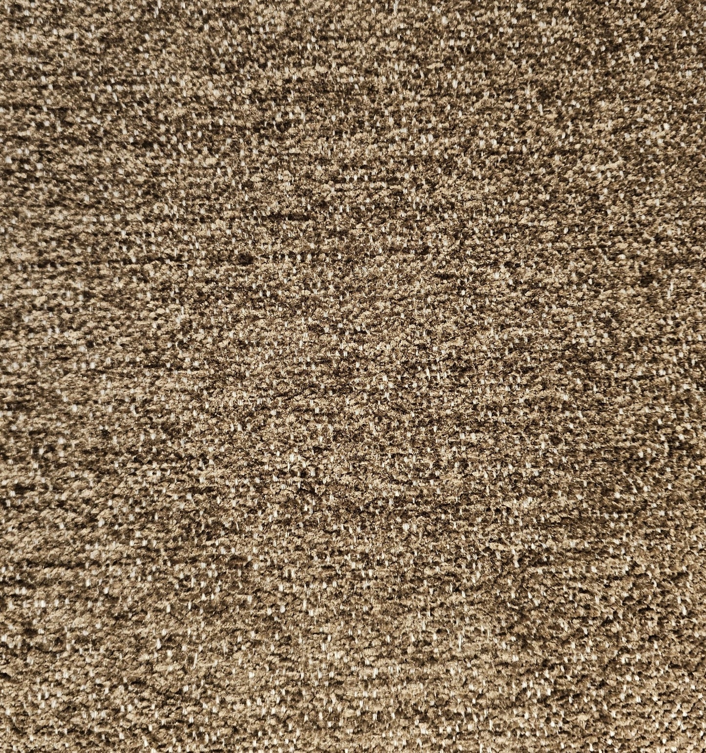 Tygprov - Nicole Bruise