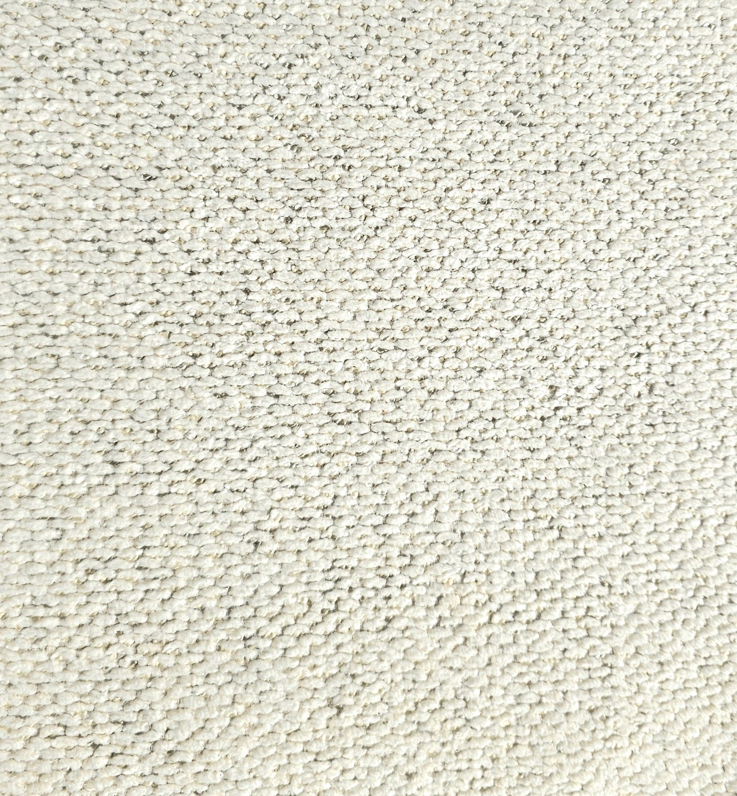 Tygprov - Macan Ivory