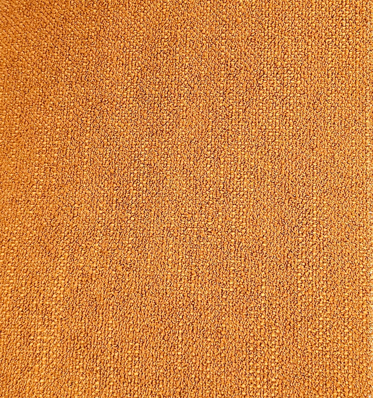 Tygprov - Riccardo Jam