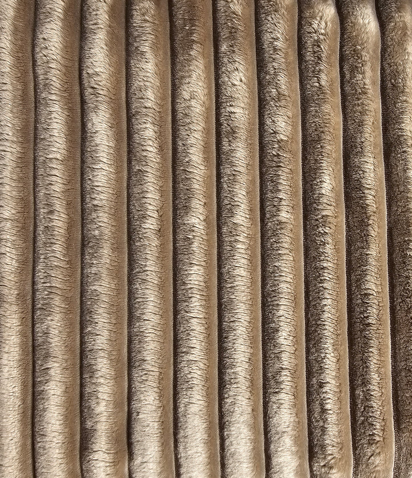 Tygprov - Angel Sciura