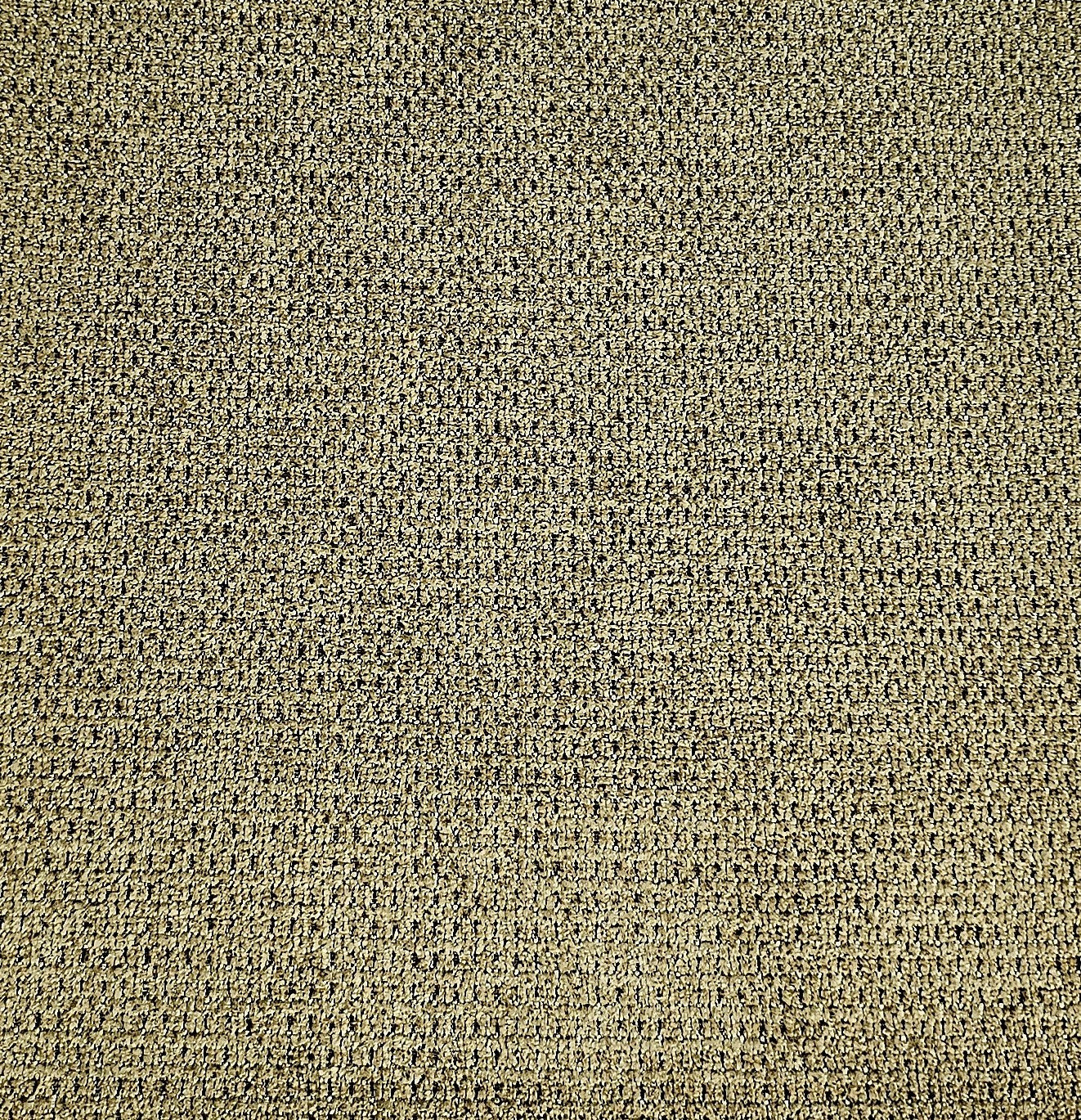 Tygprov - Lilly Turtle