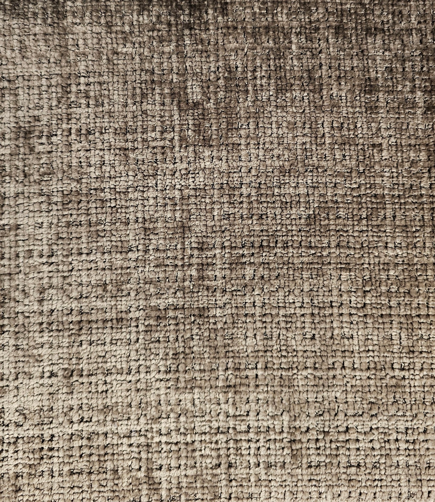 Tygprov - Santiago Bruise