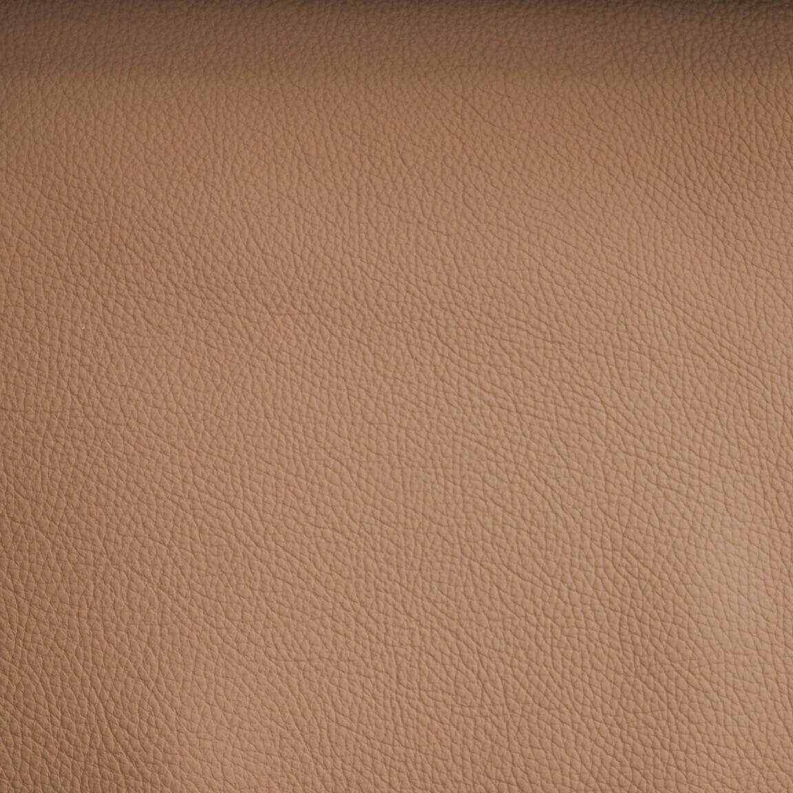 Tygprov - Toledo Camel