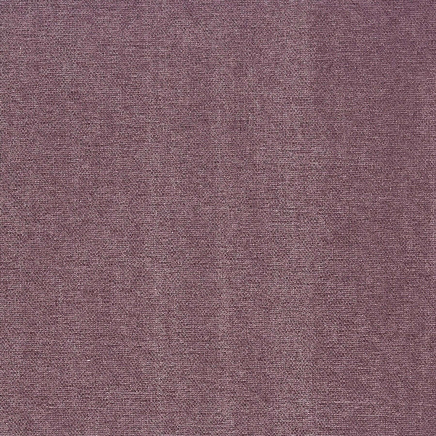 Tygprov - Tristan Purple