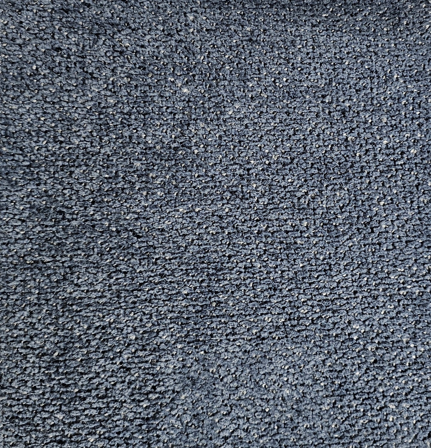 Tygprov - Macan Ancestor