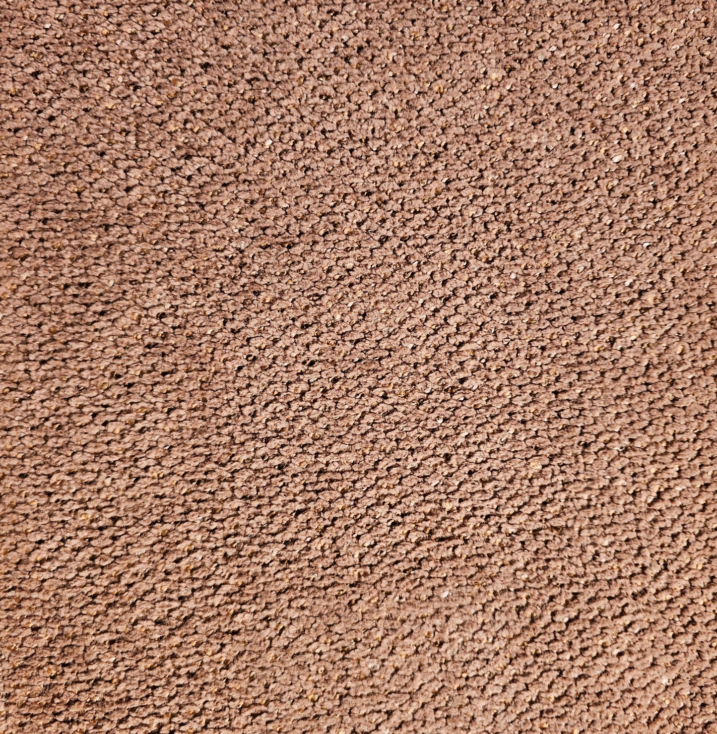 Tygprov - Macan Blush