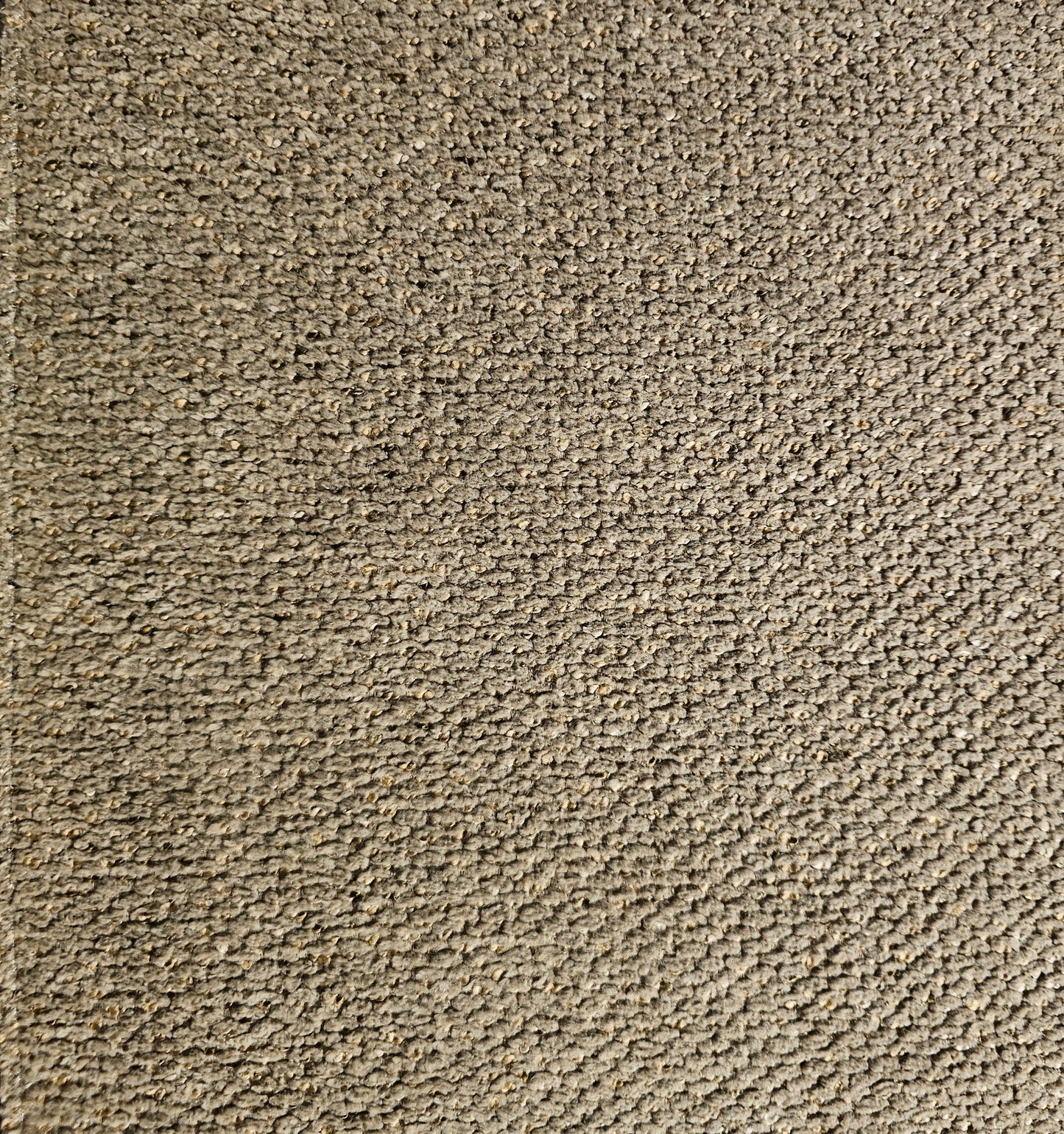 Tygprov - Macan Brandy