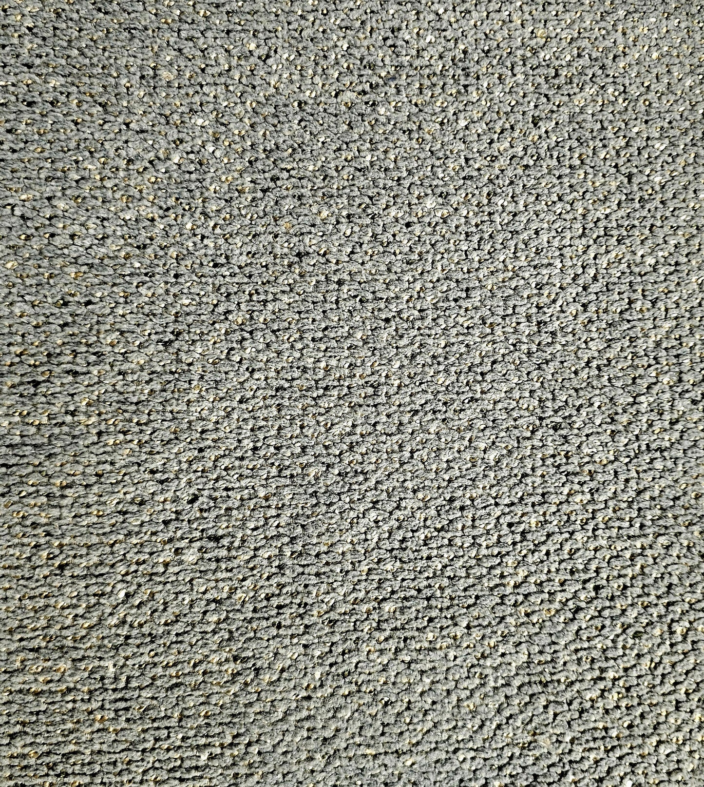 Tygprov - Macan Thyme