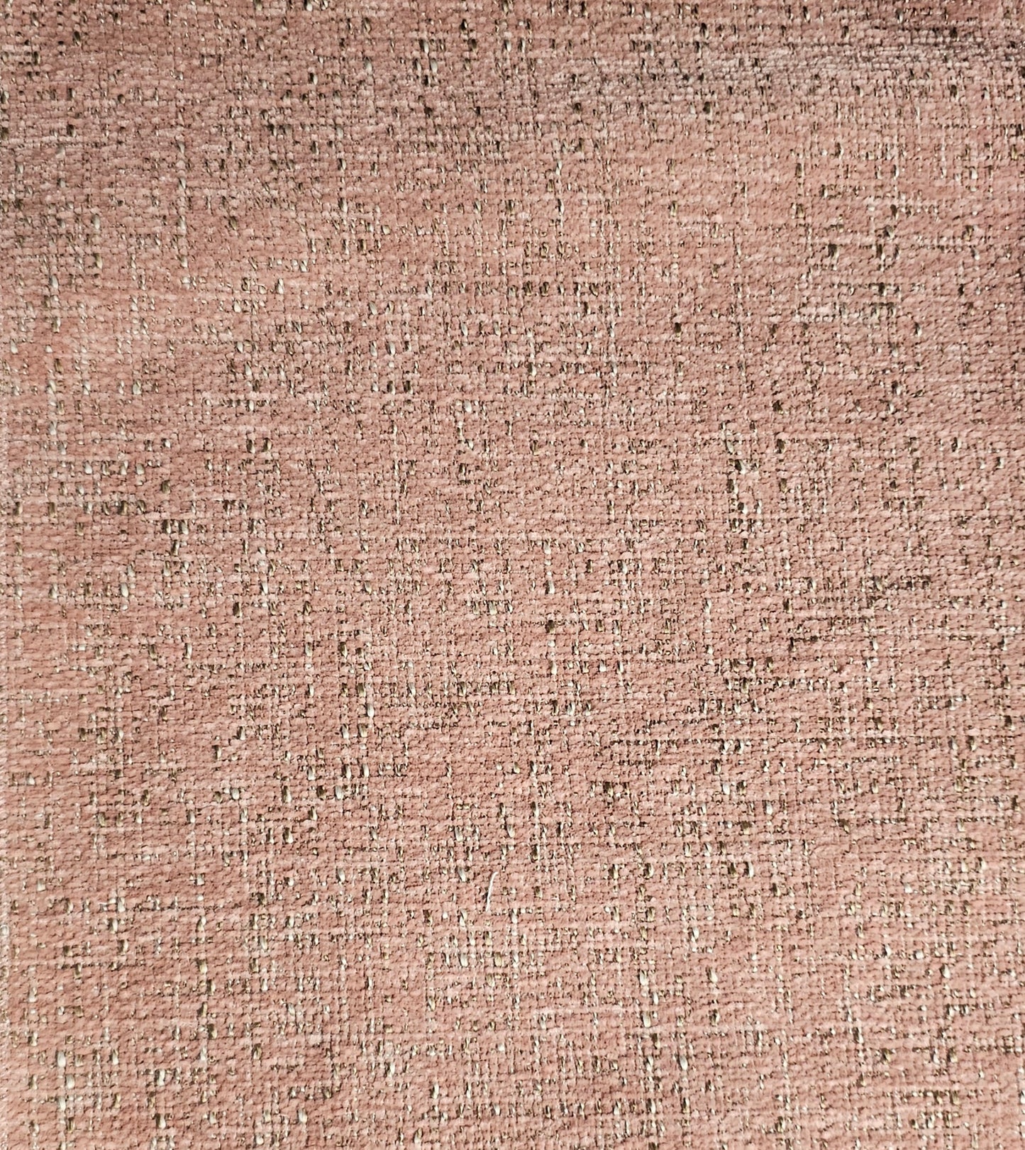 Tygprov - Lecce Lady